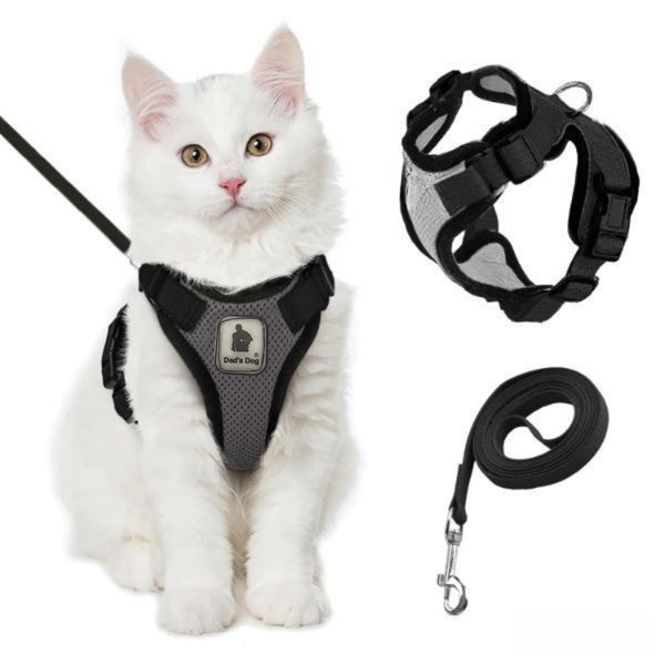 Dad's Dog® No Pull Cat Harness for Persian Cat – Escape Proof, Adjustable Air Mesh Cat Belt with Rope, Leash for Cats, Leash with Harness, Small Dog Harness for Shih Tzu Dogs (Grey, Small)